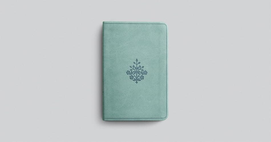 ESV Value Compact Bible (TruTone, Paris Sky, Branch Design): Holy Bible, English Standard Version thumbnail 3