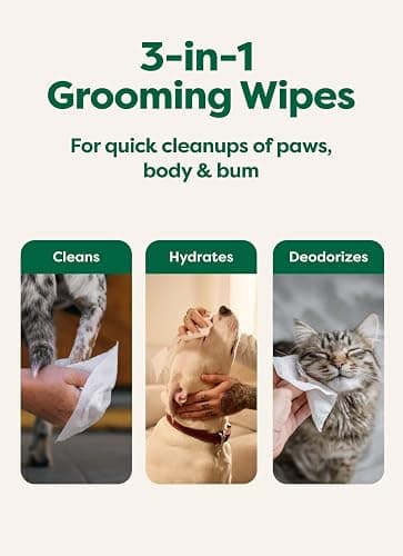 3-in-1 Dog Wipes for Paws & Butt, Deodorizing, White Tea & Basil 100ct | Hypoallergenic, 3-in-1 Cleaning and Hydrating, for Grooming Paws, Body and Butt thumbnail 4