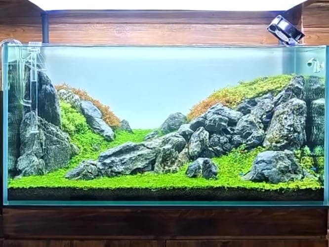 ChaoLeHo Natural Rocks Seiryu Stones Aquariums Stones for Aquascaping, Aquariums, Terrariums, Vivariums Decorative Stone,Reptile Enclosures,Paludariums,and Gardens-10lb（2 to 7 inch） thumbnail 9