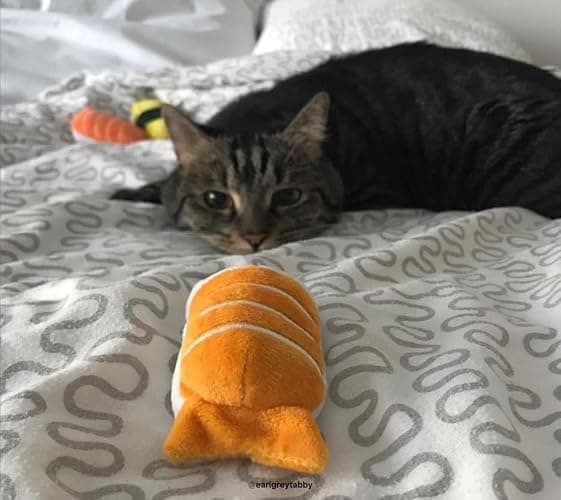 munchiecat Premium Organic Catnip Sushi Toy (1-pc) for Cats, Kittens - USA Made Durable Design for Pouncing, Batting and Play thumbnail 3