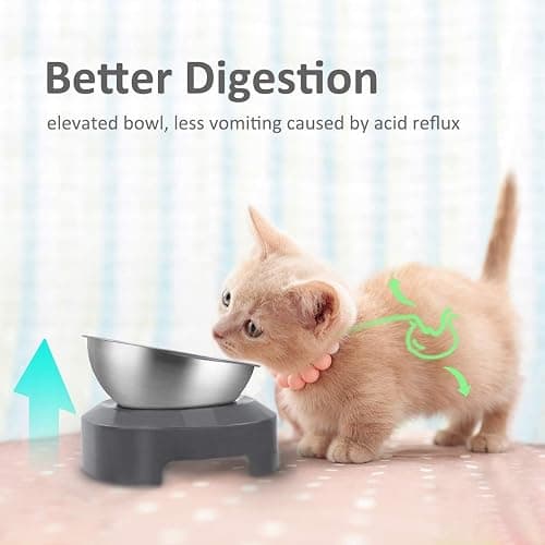 AYADA Raised Cat Food Bowl, Stainless Steel Cat Dish for Food Water Anti Vomiting Elevated with Stand Ergonomic Lifted Slanted Tilted 15 Angle Metal Single Kitty Kitten Wet Food Bowl Pet Bowl thumbnail 2