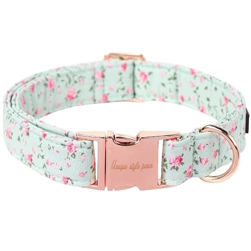 Collar  - Image 1