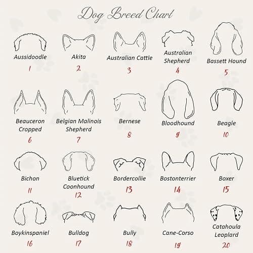 Dog Embroidered Sweatshirt thumbnail 3