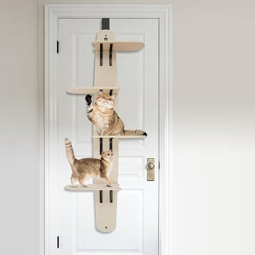 Arbre à chat à 4 étages avec porte - Arbre d'escalade peu encombrant pour chats avec surfaces de couchage XL (jusqu'à 20 kg de charge maximale) thumbnail 4