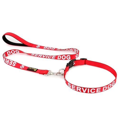 Plutus Pet Service Dog Collar,Printed in Large Letters on Nylon Webbing,Prevents Accidents by Warning Others of Your Dog in Advance,Two Colors,Four Sizes,Neck 14-20 inch,Medium,Red | Adjustable, Heavy Duty with Quick Snap Buckle, for Puppy Small Medium Large Dogs, Red, M thumbnail 7