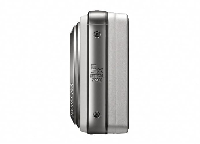 Sony Cyber-shot DSC-W290 12.1 MP Digital Camera with 5x Optical Zoom and Super Steady Shot Image Stabilization (Silver) thumbnail 4