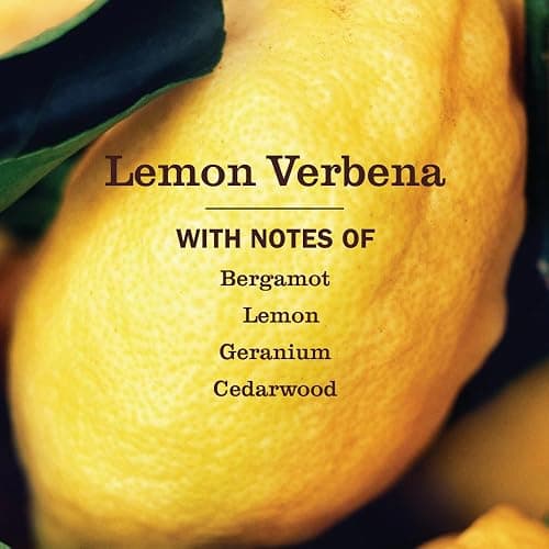 MRS. MEYER'S CLEAN DAY Cleaner Spray, Lemon Verbena, 16 fl oz, 3 Pack | Removes Dirt and Freshens Surfaces, Multi-Surface, Everyday Use, All-Purpose Cleaner, Cruelty Free, Made with Essential Oils thumbnail 3