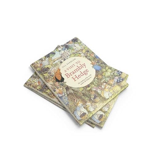 A Visit to Brambly Hedge: An illustrated companion to the world of Brambly Hedge, perfect for collectors and fans of Jill Barklem! thumbnail 9