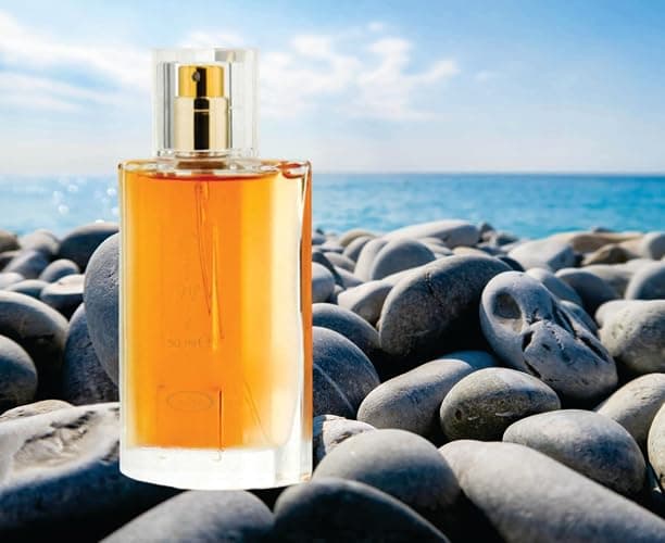 Sapphire's Choice - Choco Musk Eau De Parfum | Perfume for Men and Women | Chocolate and Vanilla Fragrance | 50ml Made in Dubai thumbnail 3