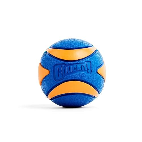 Chuckit! Ultra Squeaker Ball Dog Toy, Large (3 Inch) 1 Pack, for Large Breeds thumbnail 3