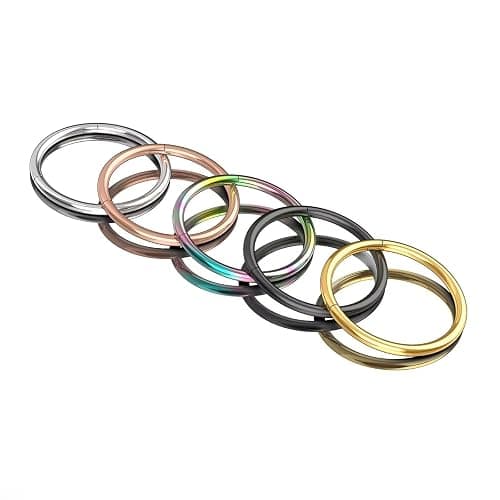 Nose Rings Hoops for Women Men Septum Jewelry 316L Surgical Steel Hinged Segment Ring Body Piercing Nose Hoop Lip Rings Nose Helix Cartilage Rook Earrings thumbnail 4