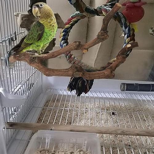 6 Pcs Parrot Perch Bird Perch Stand Set Budgie Toys Bird Cage Accessories Toys for Cockatiels Lovebirds Budgies Chewable (Natural, 10-12Inch) thumbnail 7