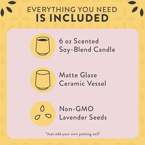 Modern Sprout Rooted Candle - 2 in 1 Scented Cedarwood 6 oz Christmas Soy Candle with Lavender Plant Seeds, 42 hr Burn Time in Matte Glaze Ceramic Vessel, Indoor Herb Garden Kit, Holiday Gift & Decor thumbnail 7