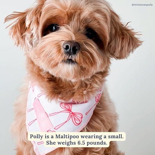 Lucy & Co. Ballet Bows Bandana - Durable Comfortable Dog Bandana - Machine Washable - Designer Puppy Accessory - Small White & Pink Bows thumbnail 4