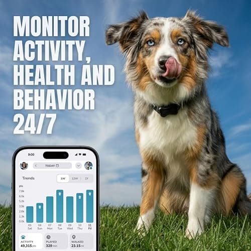 FitBark 2 Dog Activity Monitor | Health & Fitness Tracker for Dogs | Waterproof, Small & Leightweight (10 g) | Not a GPS Tracker thumbnail 3