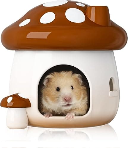BUCATSTATE Hamster Hideout Ceramic, Mushroom Shape Hamster House and Habitats Ideal for Dwarf Hamsters, Gerbils, Mice, Syrian Hamsters, Chipmunk or Other Small Pets (Brown-Large) - Image 1