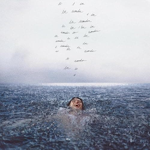Wonder - Image 1