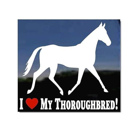 I Love My Thoroughbred Horse Trailer Vinyl Window Decal Sticker - Image 1