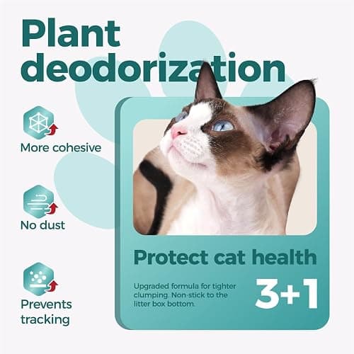 MOONFOREST Tapioca Cat Litter, Cassava Cat Litter Odor Control Dust-Free Clumping Litter thumbnail 3
