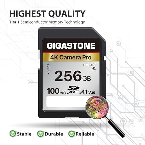 【5-Years Data Recovery】 GIGASTONE 256GB SD Card, 4K Camera Pro, A1 V30 SDXC Memory Card 4K UHD Video Compatible with Canon Digital Camera, with 1 Mini Case thumbnail 2