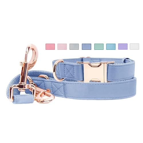 Soft Leather Dog Collar and Leash (6.6') Set - Stylish Rose Gold Heavy Duty Metal Buckle, 4 Adjustable Lengths Leash for Small Medium Large Dogs - Comfortable & Easy to Clean BluePurple L(15.4"-24.8") - Image 1