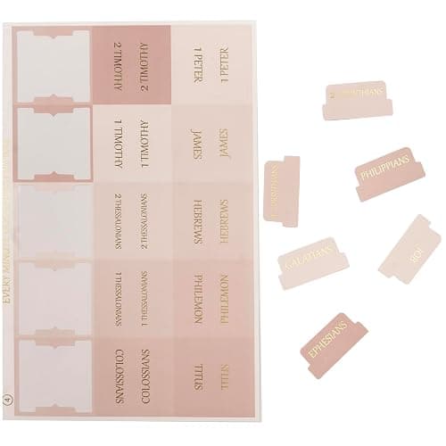 Lumintutu Laminated Bible Tabs, Gold Foil Large Print Lettering, 90 Tabs Bible Study Journaling Supplies, Christian Gift for Women and Men, She Reads Truth Bible (Pink) thumbnail 6