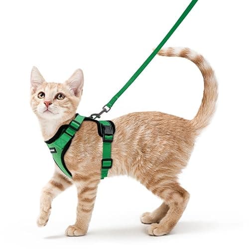 rabbitgoo Cat Harness and Leash for Walking, Escape Proof Soft Adjustable Vest Harnesses for Cats, Easy Control Breathable Reflective Strips Jacket, Grass Green,S - Image 1
