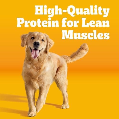 Pedigree Adult Dry Dog Food, Complete Nutrition, Grilled Steak & Vegetable Flavor, 18 lb. Bag thumbnail 2