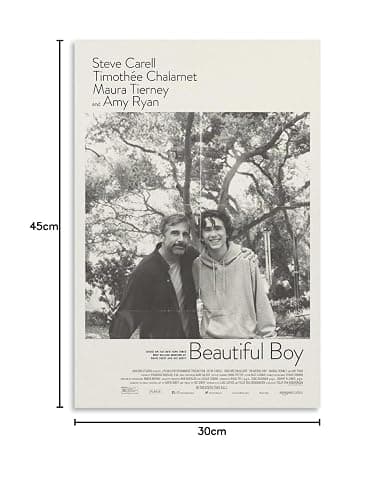 Beautiful Boy Movie Poster for Bedroom Aesthetic Wall Decor Canvas Wall Art Gift 12x18inch(30x45cm) thumbnail 8