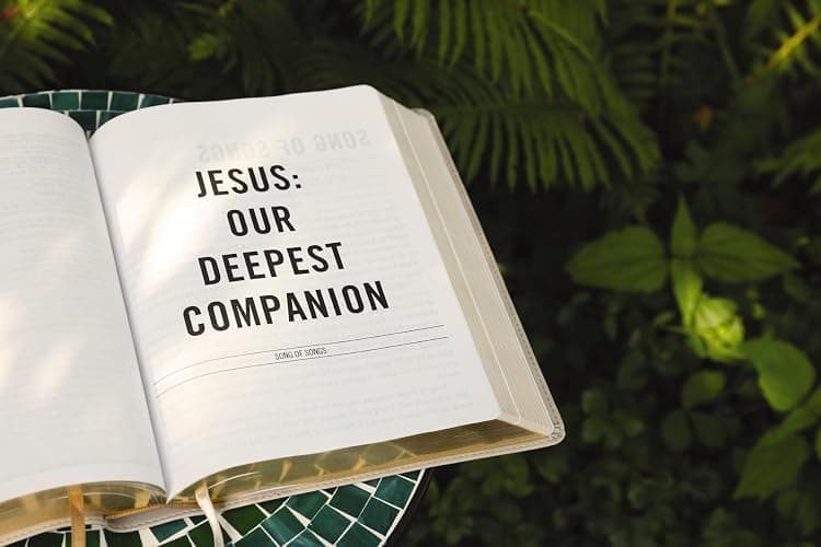 The Jesus Bible, NIV Edition, Leathersoft, Stone, Comfort Print thumbnail 9