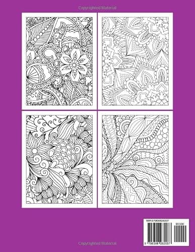 Enchanting Designs: A Relaxing Coloring Book for Adults with Stunning Patterns (Stress Relief Coloring Books Collection) thumbnail 2