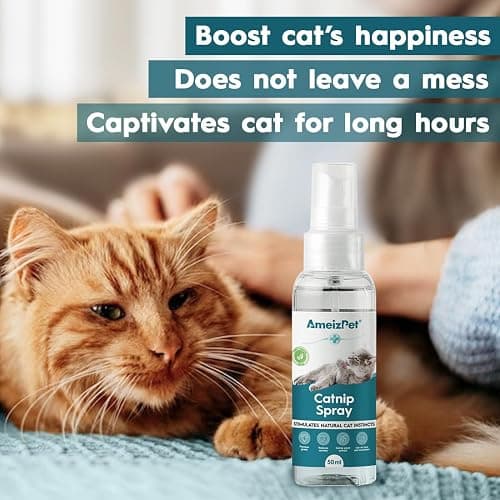 AmeizPet Catnip Spray for Cats, Cat Scratching Sprays, Transparent Cat & Kitten Behaviour Spray 50 ml (1.69 Oz) thumbnail 3