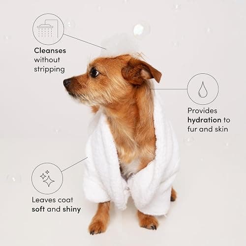 shampoo thumbnail 2