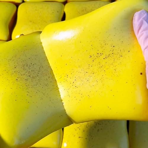 SUISUILE 2Pcs Sticky Butter Bread Squishy Toys, Ultra-Soft Toast Slow Rising Squishy, Realistic Toast Shape Squeeze Toy, Cute Food Squishies for Stress Relief Desk Decor thumbnail 8