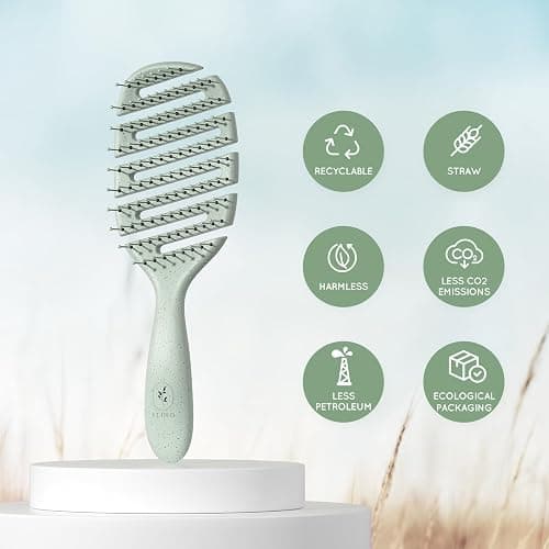 Ecoed Detangler Hairbrush, Soft Bristle Detangling Brush for Straight, Wavy, Curly and Fine Hair, Dry and Wet, Quick Smoothing for Women and Men, Eco-Friendly & Sustainable Material (Green) thumbnail 3
