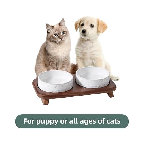 Havniva Ceramic Cat Food Bowl, 6.1" Raised Cat Bowls with Acacia Wood Stand | Elevated Cat Bowls, Whisker Friendly, Extra Wide Opening, Aesthetic Cat Dishes, Elegant Pet Bowls, Food-grade Ceramic, Kitten thumbnail 6