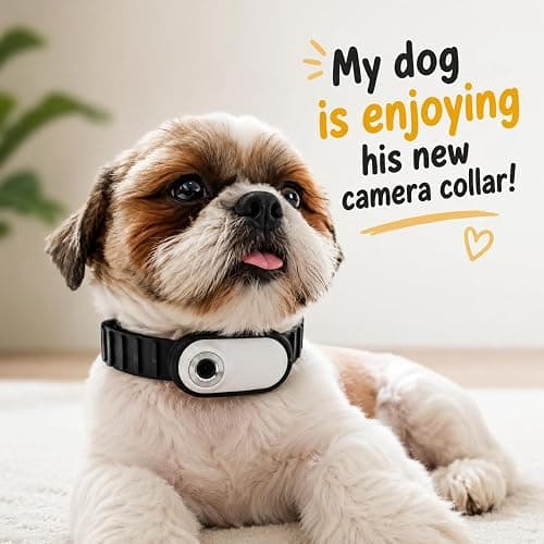 TOYDYLAN Cat Collar Camera for Cats thumbnail 9