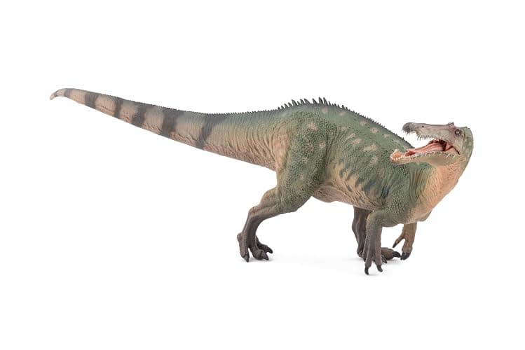 PAPO - Figurine Peinte à la Main - Suchomimus - Dinosaures - Collection - pour Enfants - garçons et Filles - à partir de 3 Ans thumbnail 5