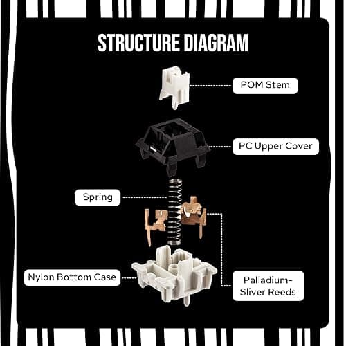 EPOMAKER Zebra 40gf Linear Mechanical Keyboard Switches, 5-Pin Pre Lubed Creamy Switch, 100 PCS, with POM Stem, 21mm Spring, Compatible with MX Keycaps for Gaming Keyboard thumbnail 5