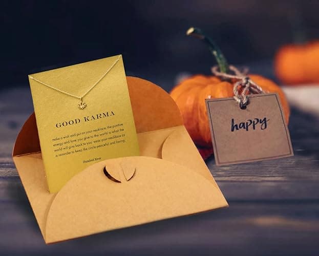 Hundred River Friendship Anchor Compass Necklace Good Luck Elephant Pendant Chain Necklace with Message Card thumbnail 3