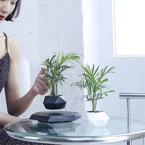 MOOCCI Levitating Plant Pot Floating Plant Potted Plant, Ideal Home Gift for Father's Day, Classmates for Halloween, Thanksgiving, Christmas thumbnail 8
