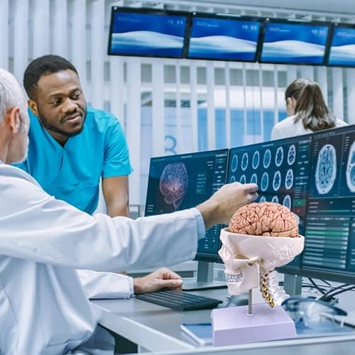 Human Skull and Brain Anatomy Model Life-Size with Cervical Vertebra & Base for Classroom Medical Neuroscience Anatomy Teaching & Studying thumbnail 4