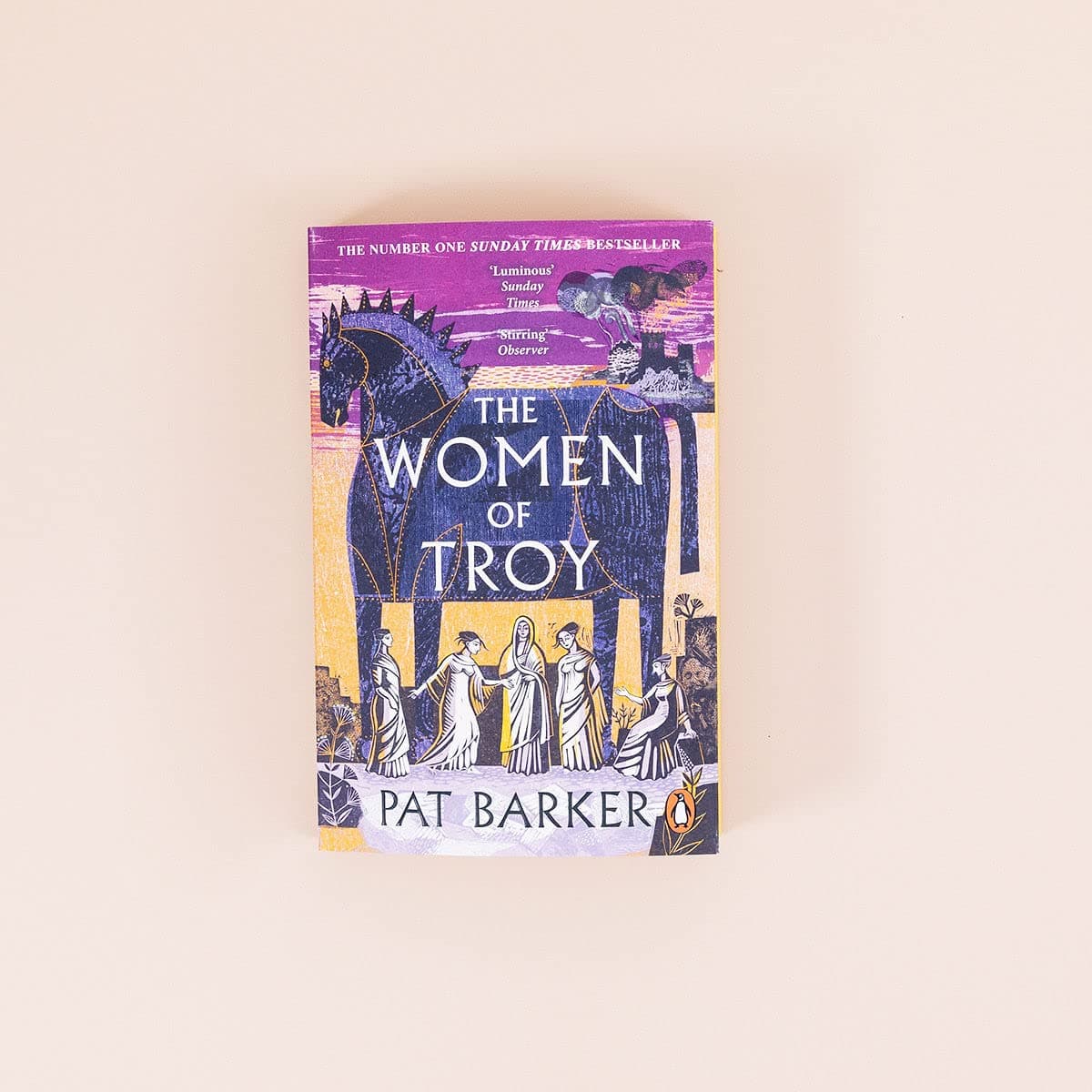 The Women of Troy: The Sunday Times Number One Bestseller thumbnail 3