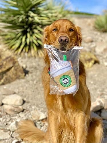 Nestpark Parody Star Pups Coffee Dog Toy Pup'kin Spice Latte - Funny Plush Squeaky Crinkle Dog Toys for Medium, Small and Large for Dog Birthday thumbnail 7