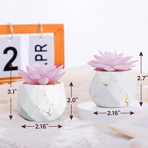 ZENIDA Artificial Succulent Plants in 2 White Ceramic Pots, Cute Fake Plants for Vanity Decor,Office, Desk, Bathroom, Kitchen,Bedroom, Shelves Decor for Women,Girls Gift thumbnail 3