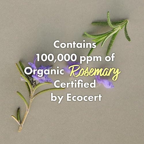 RATED GREEN Rosemary Balancing Scalp Pack | Organic Cold Brewed Charcoal | 2-in-1 Detoxifying Hair Mask for Flaky, Oly Scalp & Hair | Silicone-Free, Korean Hair Care | 6.76 Fl. Oz thumbnail 2