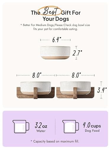 LE TAUCI PET Ceramic Dog Bowls for Medium Small Dogs - 4 Cup Medium Dog Food and Water Bowls with Wood Stand, Cute Pet Dishes Set of 2, Lines+Dot thumbnail 3