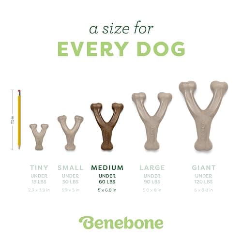 Benebone Wishbone Durable Dog Chew Toy for Aggressive Chewers, Real Bacon, Made in USA, Medium thumbnail 4