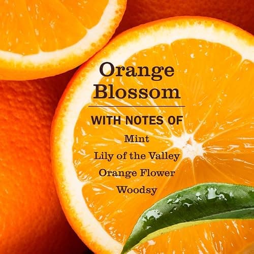 MRS. MEYER'S CLEAN DAY Pet Odor Neutralizer, Orange Blossom Scent, 12oz thumbnail 3