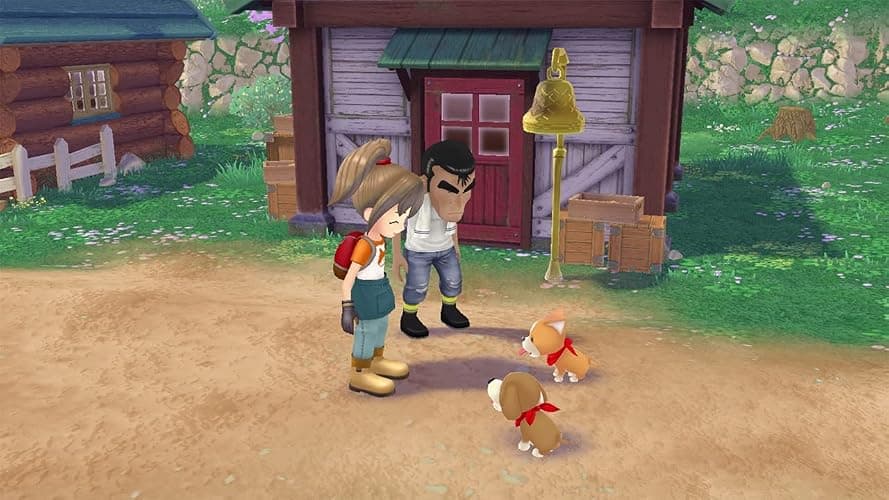 Story of Seasons: A Wonderful Life thumbnail 2